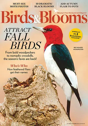 Birds & Blooms magazine